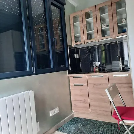 Confortable A Proche Centre 16 M² + Terrasse Lejlighed