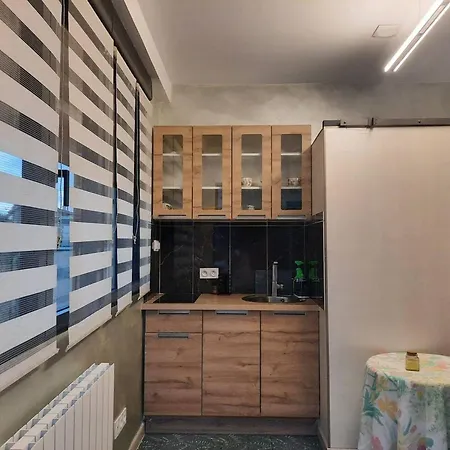 Lejlighed Confortable A Proche Centre 16 M² + Terrasse
