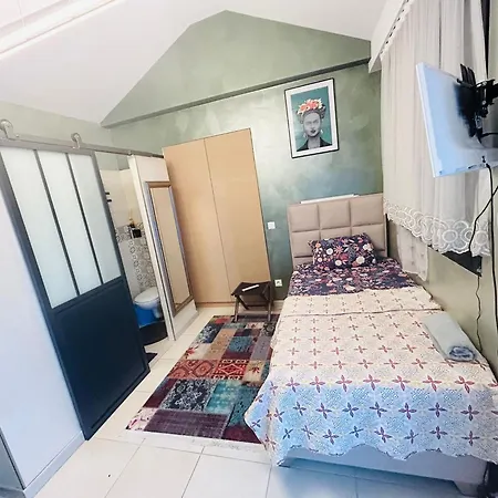Lejlighed Confortable A Proche Centre 16 M² + Terrasse Annemasse