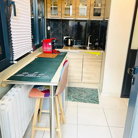 Confortable A Proche Centre 16 M² + Terrasse Annemasse